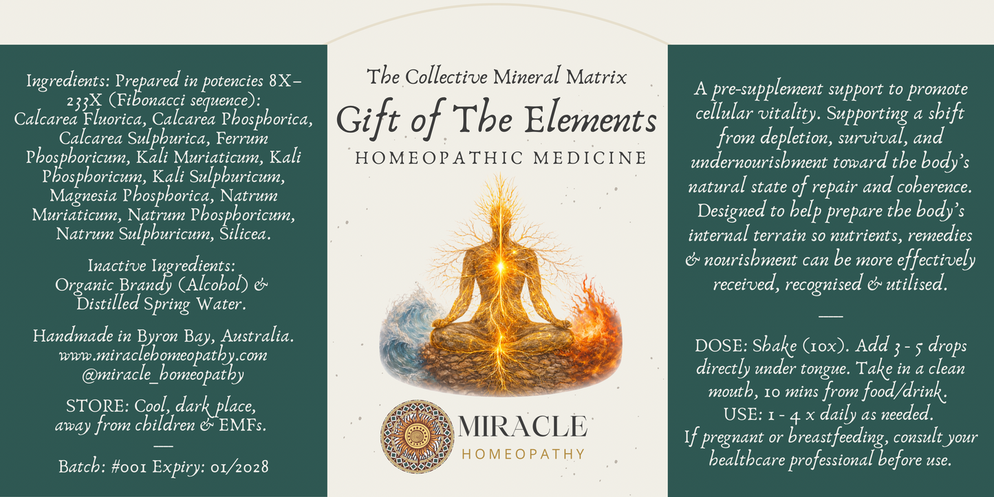 Gift of The Elements