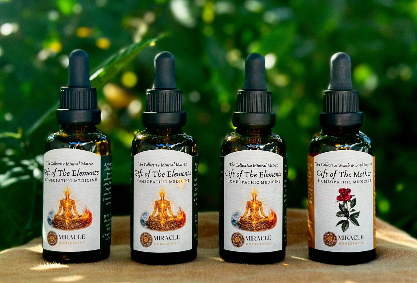The Nourished Family Bundle