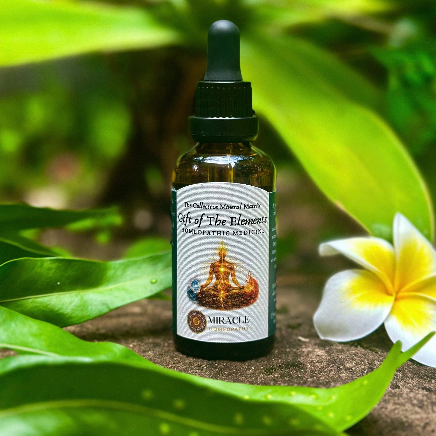 Gift of The Elements