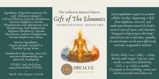 Gift of The Elements